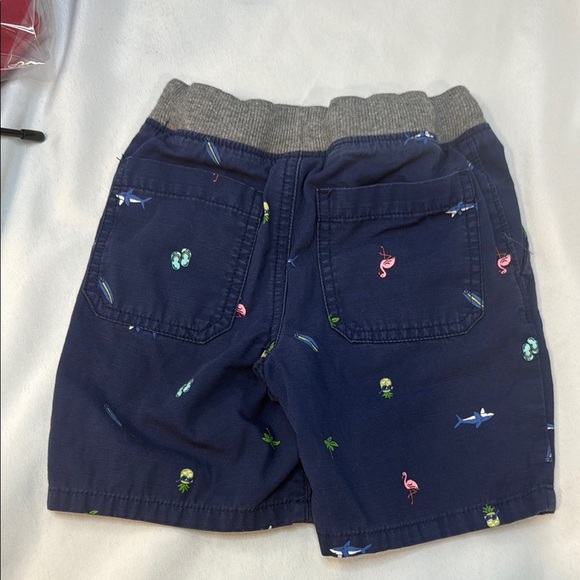 Bundle of 5 Carter’s Kids Colorful Shorts, BOYS Size 3T, preowned - Picture 13 of 16